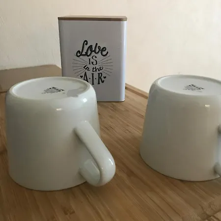 L'authentique - Situe En Face Des Thermes Et Proche Du Coeur De 公寓 罗什福尔