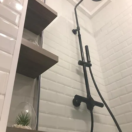 L'authentique - Situe En Face Des Thermes Et Proche Du Coeur De 公寓 *